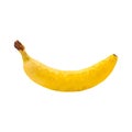 Ripe yellow banana. Low poly illustration. Vector